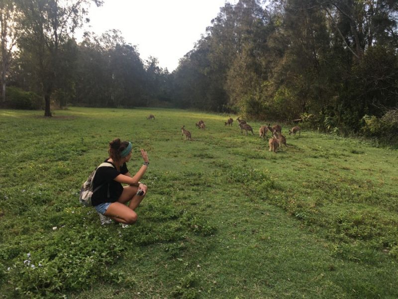 chica morena arrodillada en el césped y detrás canguros saltando